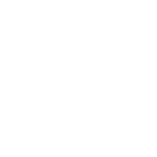 Secure Payment